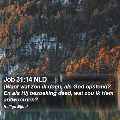 Job 31:14 NLD Bible Verse Image