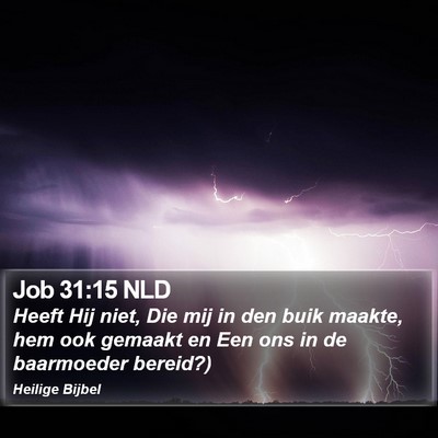 Job 31:15 NLD Bible Verse Image