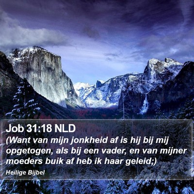Job 31:18 NLD Bible Verse Image