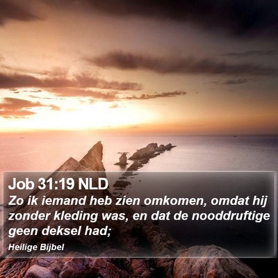 Job 31:19 NLD Bible Verse Image