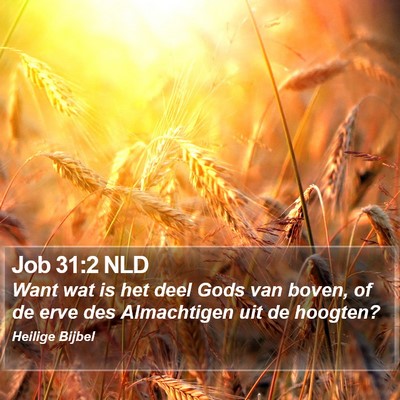 Job 31:2 NLD Bible Verse Image
