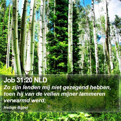 Job 31:20 NLD Bible Verse Image
