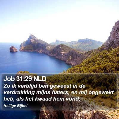 Job 31:29 NLD Bible Verse Image