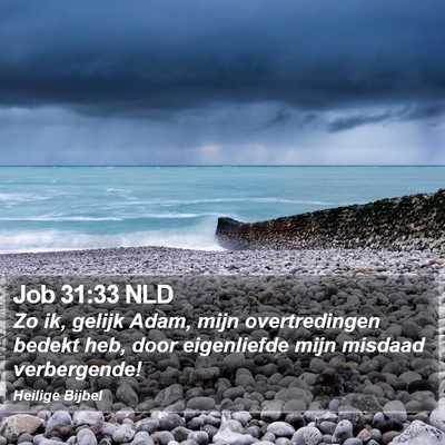 Job 31:33 NLD Bible Verse Image