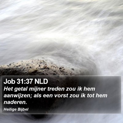 Job 31:37 NLD Bible Verse Image
