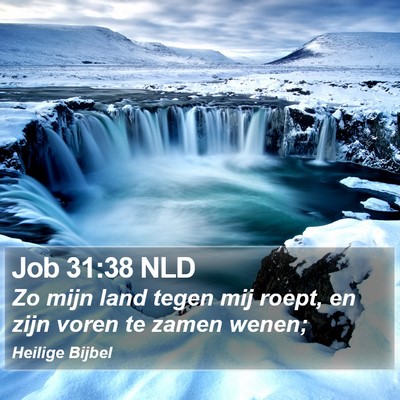 Job 31:38 NLD Bible Verse Image