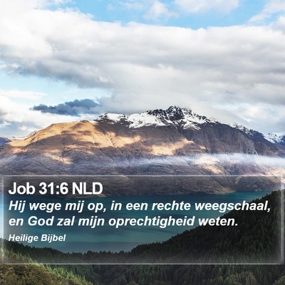 Job 31:6 NLD Bible Verse Image