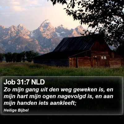 Job 31:7 NLD Bible Verse Image