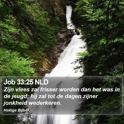 Job 33:25 NLD Bible Verse Image