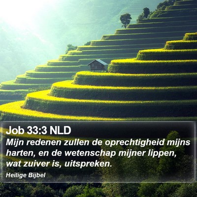 Job 33:3 NLD Bible Verse Image
