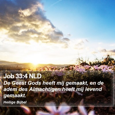 Job 33:4 NLD Bible Verse Image