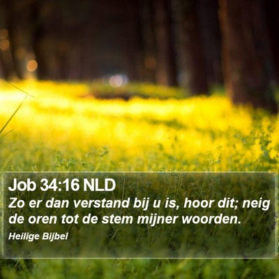 Job 34:16 NLD Bible Verse Image