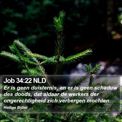 Job 34:22 NLD Bible Verse Image