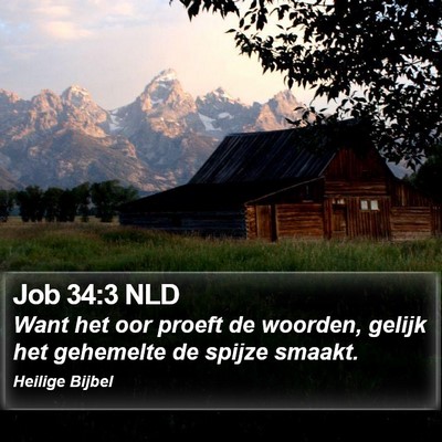 Job 34:3 NLD Bible Verse Image