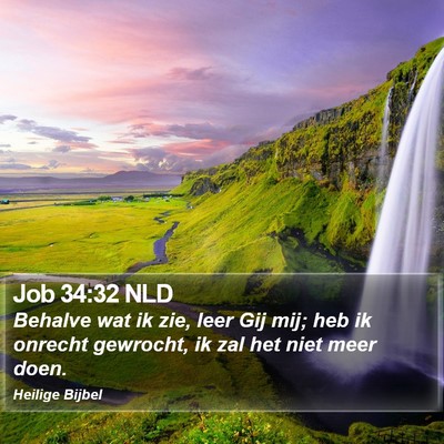 Job 34:32 NLD Bible Verse Image