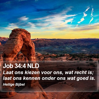 Job 34:4 NLD Bible Verse Image