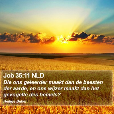 Job 35:11 NLD Bible Verse Image