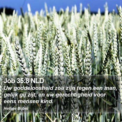 Job 35:8 NLD Bible Verse Image