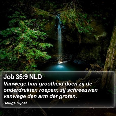 Job 35:9 NLD Bible Verse Image