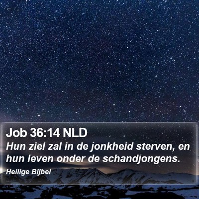 Job 36:14 NLD Bible Verse Image