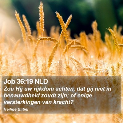 Job 36:19 NLD Bible Verse Image