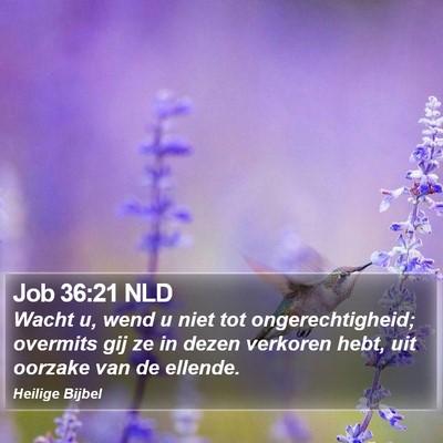 Job 36:21 NLD Bible Verse Image