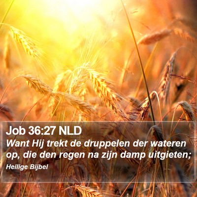 Job 36:27 NLD Bible Verse Image