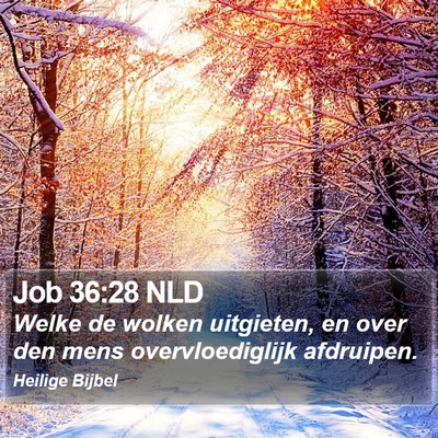 Job 36:28 NLD Bible Verse Image