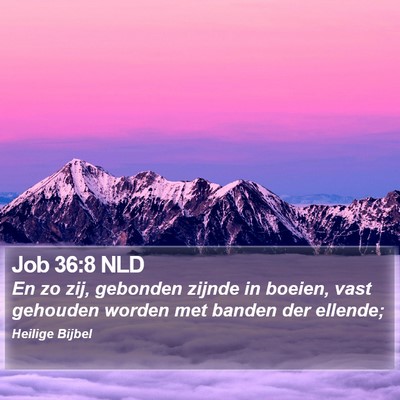 Job 36:8 NLD Bible Verse Image