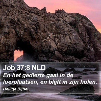 Job 37:8 NLD Bible Verse Image