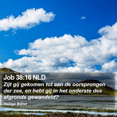 Job 38:16 NLD Bible Verse Image