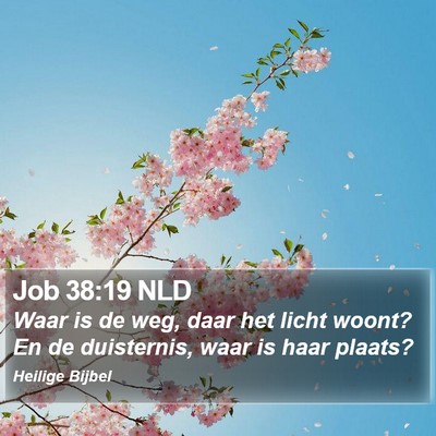 Job 38:19 NLD Bible Verse Image