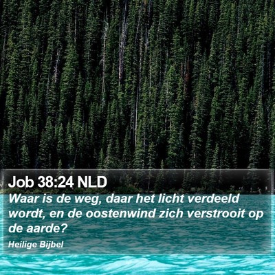 Job 38:24 NLD Bible Verse Image