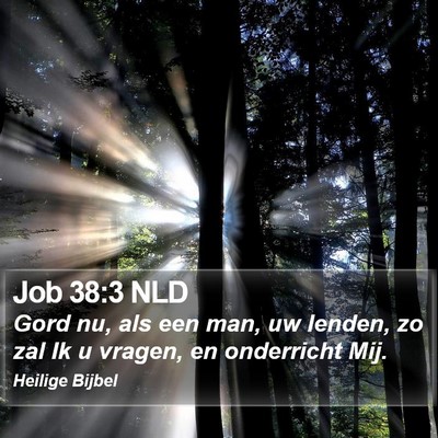 Job 38:3 NLD Bible Verse Image