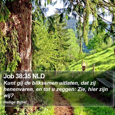 Job 38:35 NLD Bible Verse Image