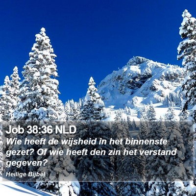 Job 38:36 NLD Bible Verse Image