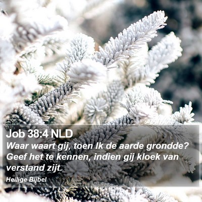 Job 38:4 NLD Bible Verse Image