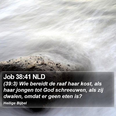 Job 38:41 NLD Bible Verse Image