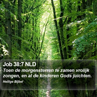 Job 38:7 NLD Bible Verse Image