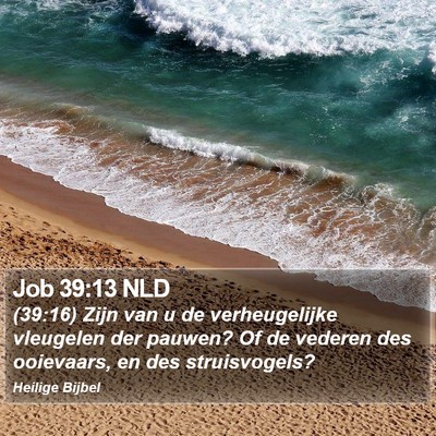 Job 39:13 NLD Bible Verse Image