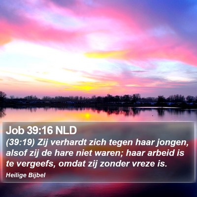 Job 39:16 NLD Bible Verse Image
