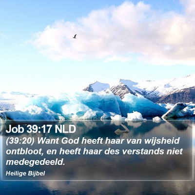 Job 39:17 NLD Bible Verse Image