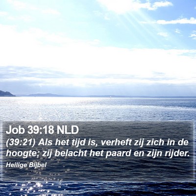 Job 39:18 NLD Bible Verse Image