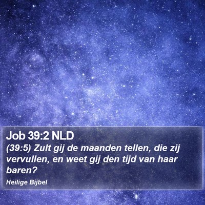 Job 39:2 NLD Bible Verse Image