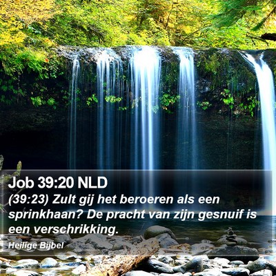 Job 39:20 NLD Bible Verse Image