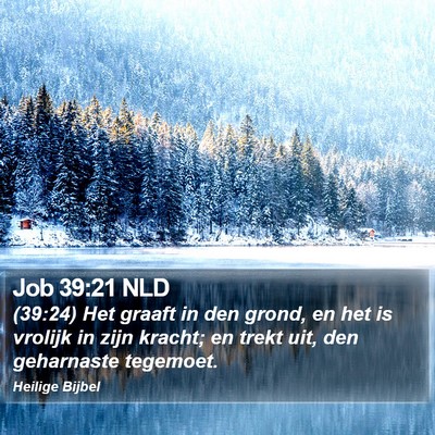 Job 39:21 NLD Bible Verse Image