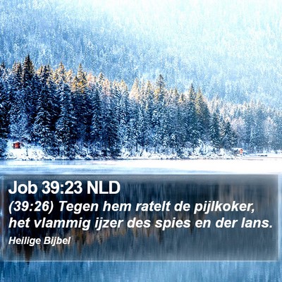 Job 39:23 NLD Bible Verse Image