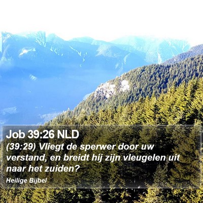 Job 39:26 NLD Bible Verse Image