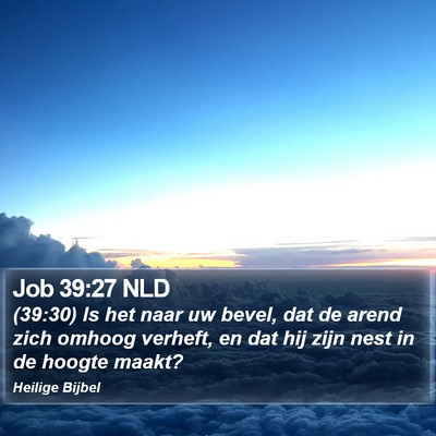 Job 39:27 NLD Bible Verse Image