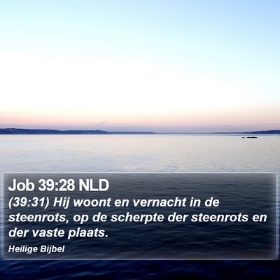 Job 39:28 NLD Bible Verse Image